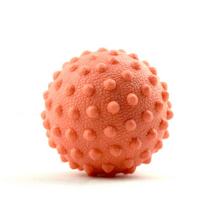 Everyday Massage Ball